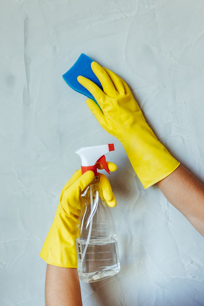 gallery-6 Hands in yellow gloves cleaning wall with sponge and spray bottle.